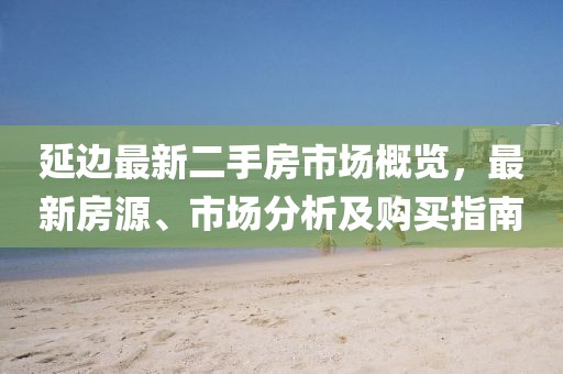 延邊最新二手房市場概覽，最新房源、市場分析及購買指南