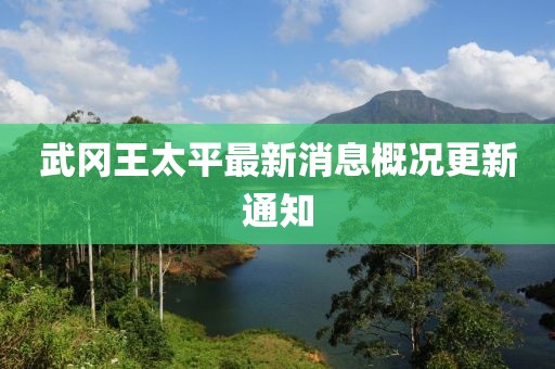 武岡王太平最新消息概況更新通知