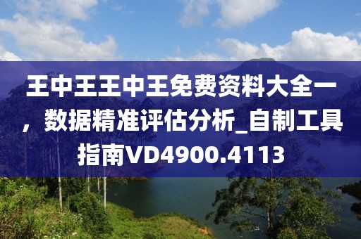 王中王王中王免費(fèi)資料大全一，數(shù)據(jù)精準(zhǔn)評(píng)估分析_自制工具指南VD4900.4113