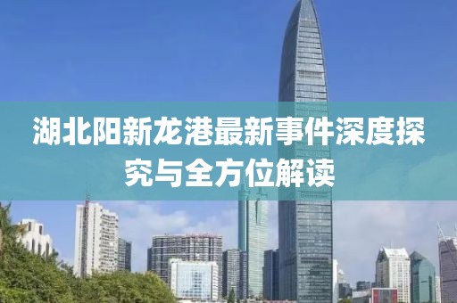 湖北陽(yáng)新龍港最新事件深度探究與全方位解讀