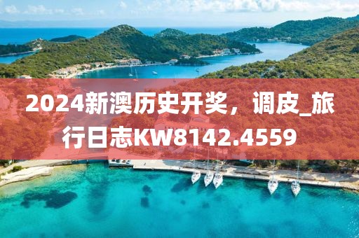 2024新澳歷史開獎，調(diào)皮_旅行日志KW8142.4559