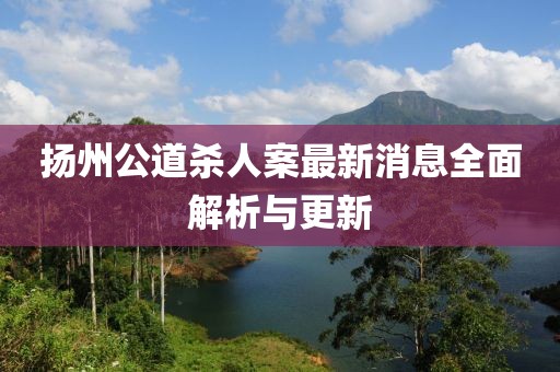 揚(yáng)州公道殺人案最新消息全面解析與更新