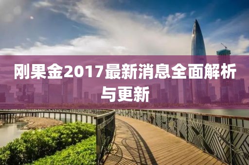 剛果金2017最新消息全面解析與更新