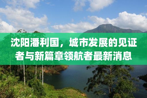 沈陽潘利國，城市發(fā)展的見證者與新篇章領(lǐng)航者最新消息