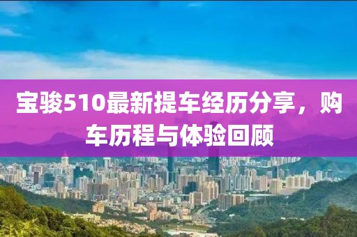 寶駿510最新提車經(jīng)歷分享，購車歷程與體驗回顧