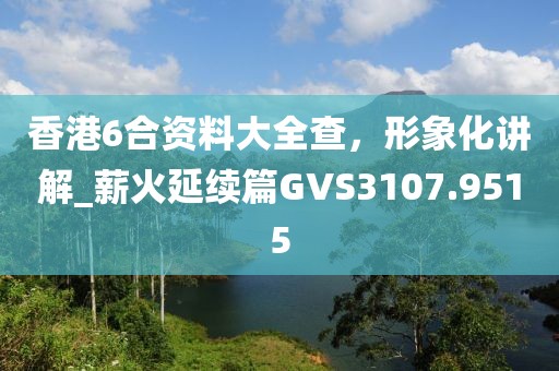 香港6合資料大全查，形象化講解_薪火延續(xù)篇GVS3107.9515