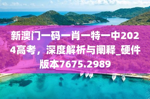 新澳門一碼一肖一特一中2024高考，深度解析與闡釋_硬件版本7675.2989