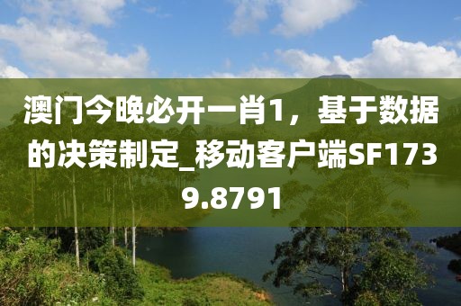 澳門今晚必開一肖1，基于數(shù)據(jù)的決策制定_移動(dòng)客戶端SF1739.8791