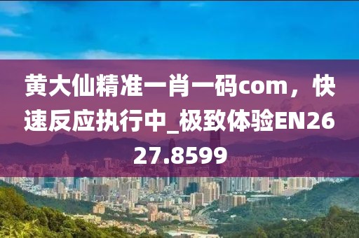 黃大仙精準一肖一碼com，快速反應執(zhí)行中_極致體驗EN2627.8599