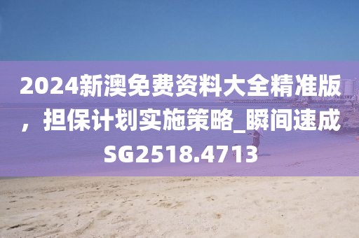 2024新澳免費資料大全精準版，擔保計劃實施策略_瞬間速成SG2518.4713