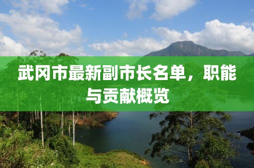 武岡市最新副市長名單，職能與貢獻概覽