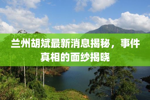 蘭州胡斌最新消息揭秘，事件真相的面紗揭曉