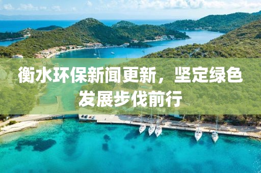 衡水環(huán)保新聞更新，堅定綠色發(fā)展步伐前行