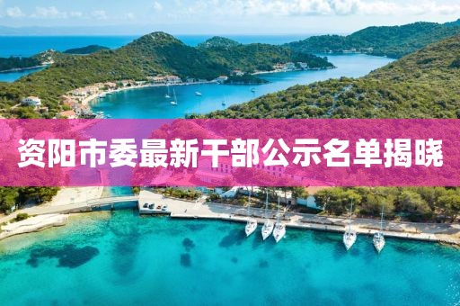 資陽市委最新干部公示名單揭曉