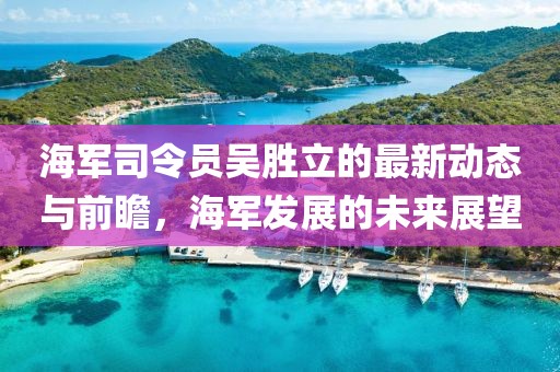 海軍司令員吳勝立的最新動態(tài)與前瞻，海軍發(fā)展的未來展望