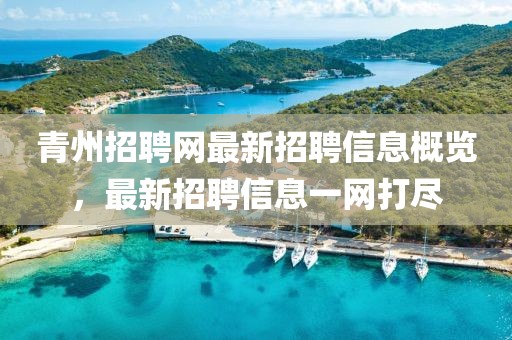 青州招聘網最新招聘信息概覽，最新招聘信息一網打盡