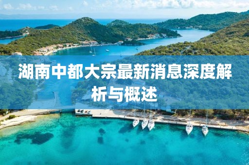 湖南中都大宗最新消息深度解析與概述