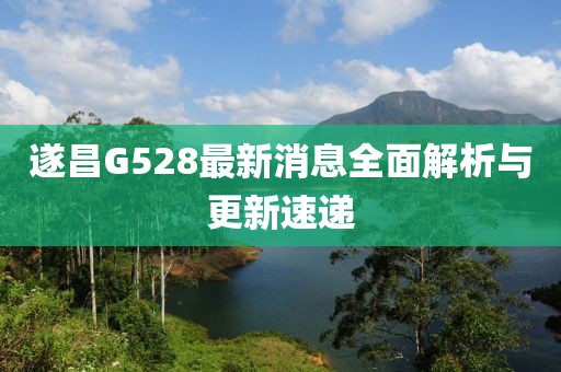 遂昌G528最新消息全面解析與更新速遞