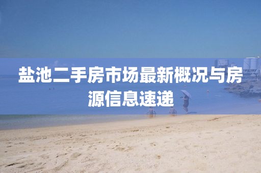 鹽池二手房市場最新概況與房源信息速遞