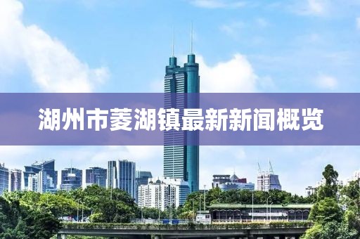 湖州市菱湖鎮(zhèn)最新新聞概覽