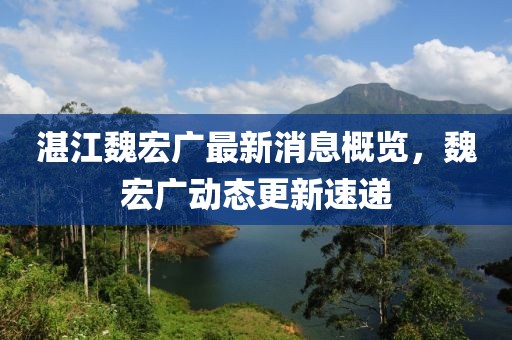 湛江魏宏廣最新消息概覽，魏宏廣動態(tài)更新速遞