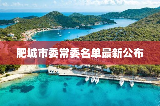 肥城市委常委名單最新公布