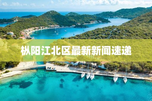 樅陽(yáng)江北區(qū)最新新聞速遞