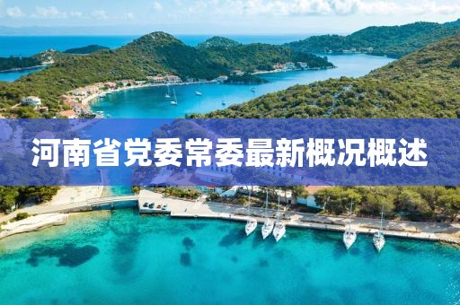 河南省黨委常委最新概況概述