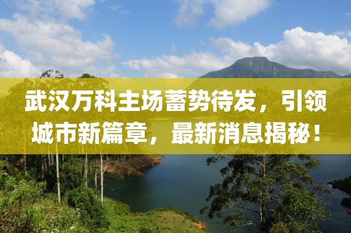 武漢萬科主場蓄勢待發(fā)，引領(lǐng)城市新篇章，最新消息揭秘！