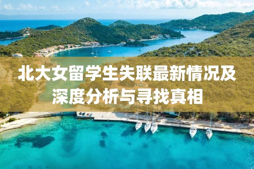 北大女留學生失聯(lián)最新情況及深度分析與尋找真相