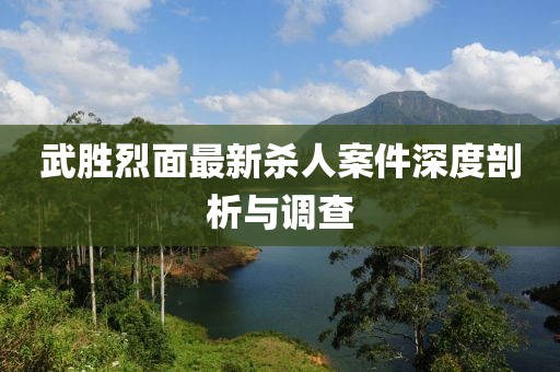 武勝烈面最新殺人案件深度剖析與調(diào)查