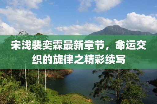 宋淺裴奕霖最新章節(jié)，命運交織的旋律之精彩續(xù)寫