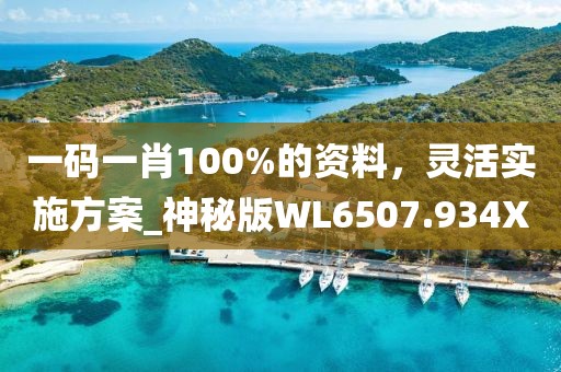 一碼一肖100%的資料，靈活實(shí)施方案_神秘版WL6507.934X