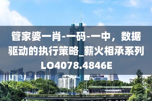 管家婆一肖-一碼-一中，數(shù)據(jù)驅(qū)動的執(zhí)行策略_薪火相承系列LO4078.4846E