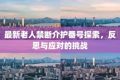 最新老人禁斷介護番號探索，反思與應(yīng)對的挑戰(zhàn)