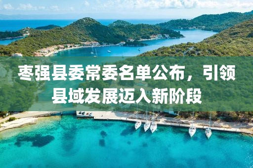 棗強縣委常委名單公布，引領縣域發(fā)展邁入新階段