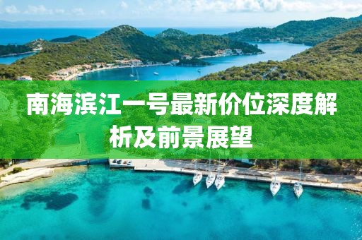 南海濱江一號(hào)最新價(jià)位深度解析及前景展望