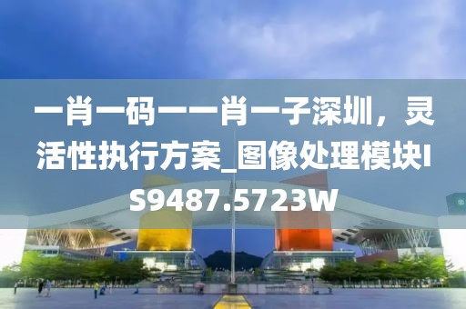 一肖一碼一一肖一子深圳，靈活性執(zhí)行方案_圖像處理模塊IS9487.5723W