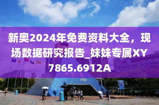 新奧2024年免費資料大全，現(xiàn)場數(shù)據(jù)研究報告_妹妹專屬XY7865.6912A