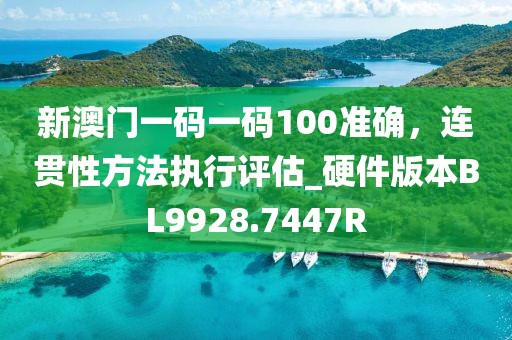 新澳門(mén)一碼一碼100準(zhǔn)確，連貫性方法執(zhí)行評(píng)估_硬件版本BL9928.7447R