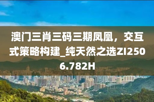 澳門三肖三碼三期鳳凰，交互式策略構(gòu)建_純天然之選ZI2506.782H