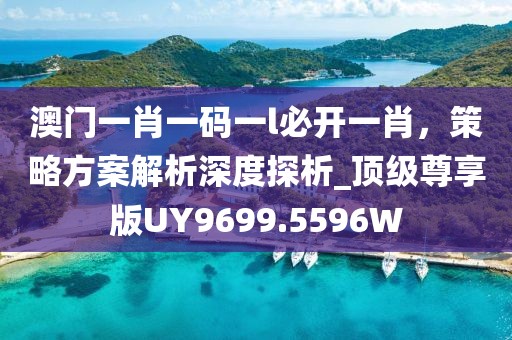 澳門一肖一碼一l必開一肖，策略方案解析深度探析_頂級尊享版UY9699.5596W