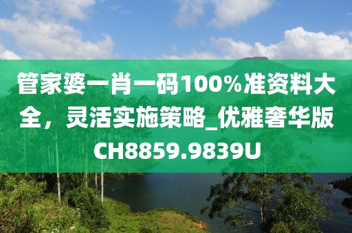 管家婆一肖一碼100%準(zhǔn)資料大全，靈活實(shí)施策略_優(yōu)雅奢華版CH8859.9839U