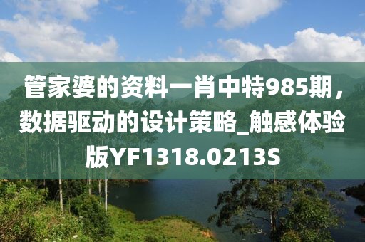 管家婆的資料一肖中特985期，數(shù)據(jù)驅(qū)動的設計策略_觸感體驗版YF1318.0213S