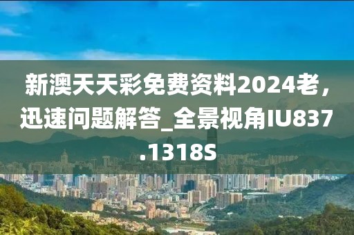 新澳天天彩免費資料2024老，迅速問題解答_全景視角IU837.1318S