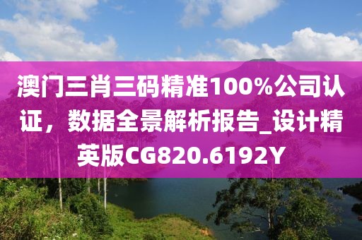 澳門三肖三碼精準(zhǔn)100%公司認(rèn)證，數(shù)據(jù)全景解析報(bào)告_設(shè)計(jì)精英版CG820.6192Y