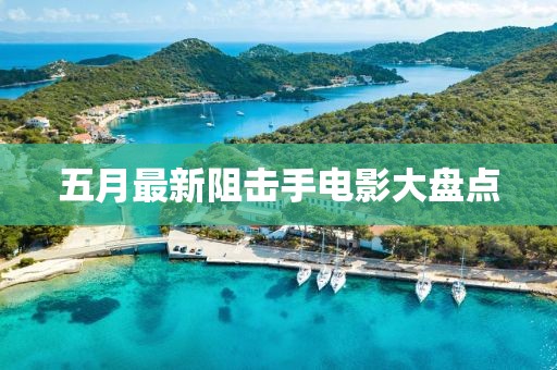 五月最新阻擊手電影大盤點