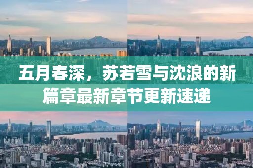 五月春深，蘇若雪與沈浪的新篇章最新章節(jié)更新速遞