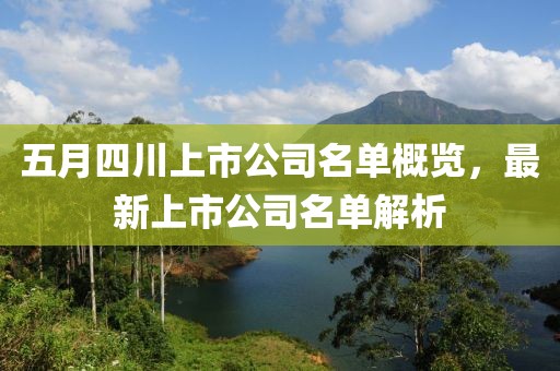 五月四川上市公司名單概覽，最新上市公司名單解析