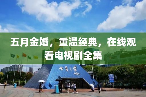 五月金婚，重溫經(jīng)典，在線觀看電視劇全集